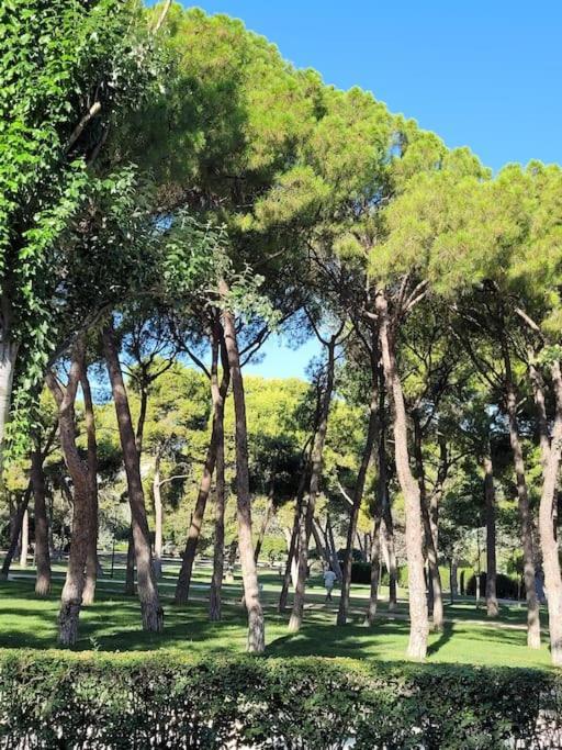 Apartamento Azabache Zaragoza Dış mekan fotoğraf